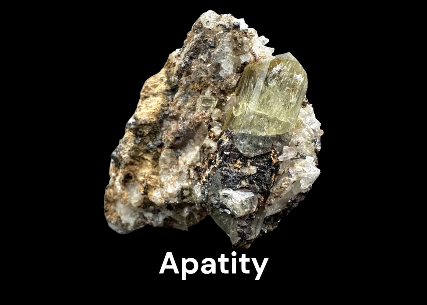 Apatity